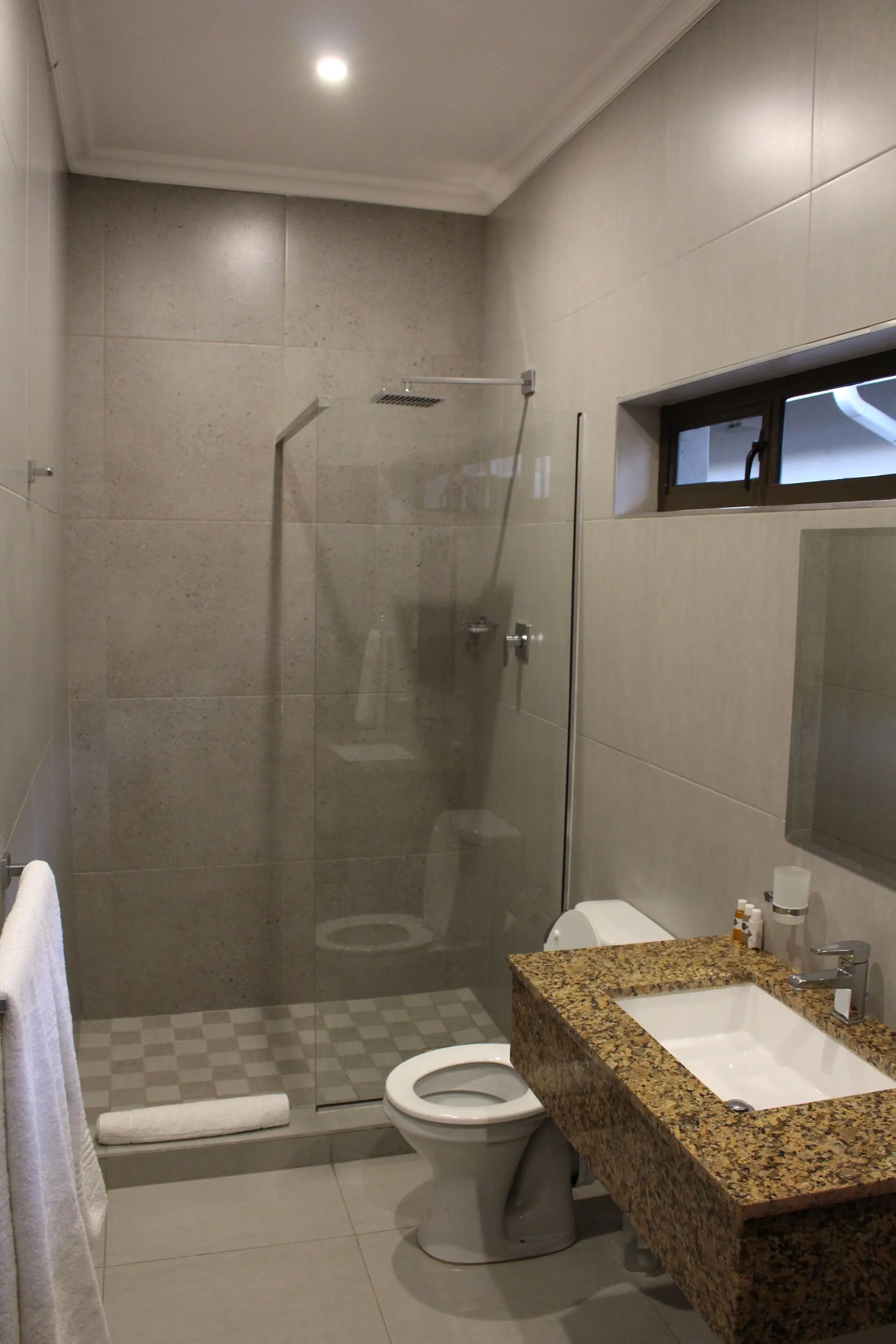 En-suite bathroom of the Basic Room at FIRN Lodge with a walk-in rain shower and granite vanity